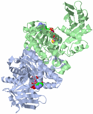 Image Asym./Biol. Unit