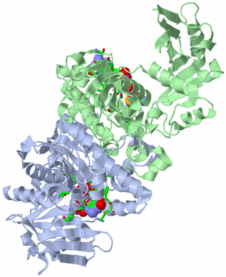 Image Asym./Biol. Unit - sites