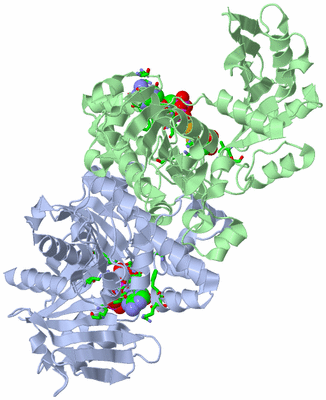 Image Asym./Biol. Unit - sites