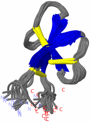 Image NMR Structure - all models