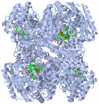 Image Biol. Unit 1 - sites