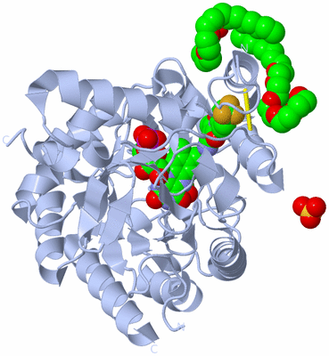 Image Biological Unit 1