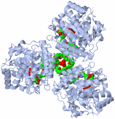 Image Biological Unit 2