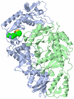 Image Asym./Biol. Unit