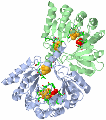 Image Asym./Biol. Unit - sites