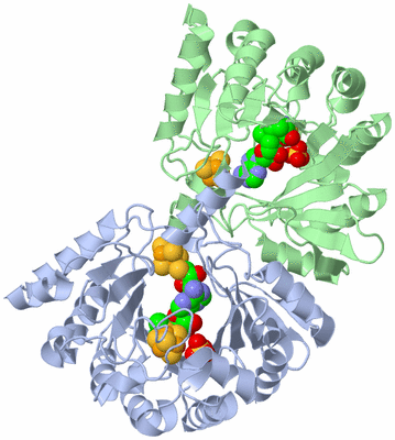 Image Asym./Biol. Unit