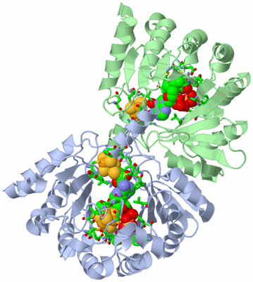 Image Asym./Biol. Unit - sites