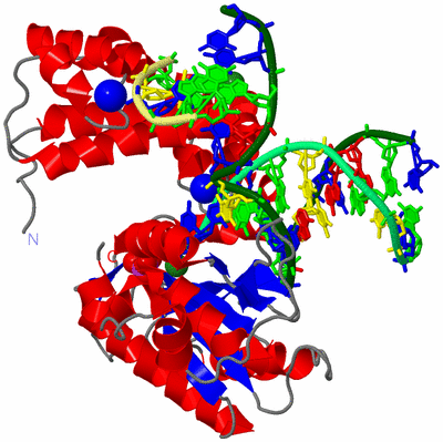 Image Asym./Biol. Unit