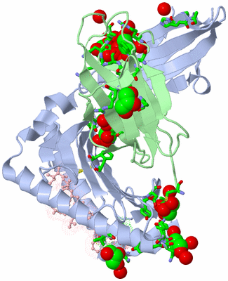 Image Biol. Unit 1 - sites