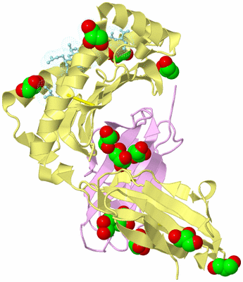 Image Biological Unit 2