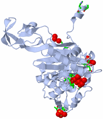 Image Biol. Unit 1 - sites