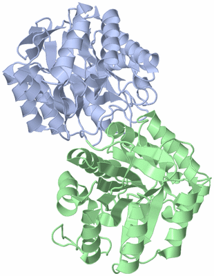 Image Asym./Biol. Unit