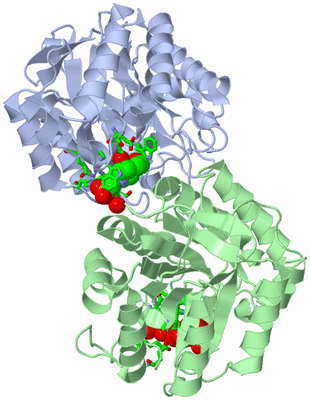 Image Asym./Biol. Unit - sites