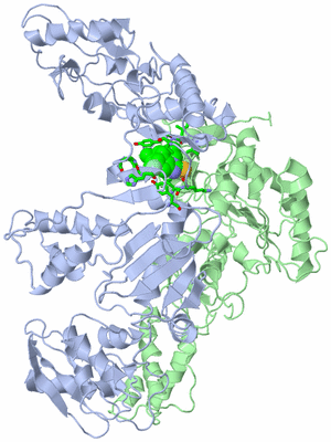 Image Asym./Biol. Unit - sites