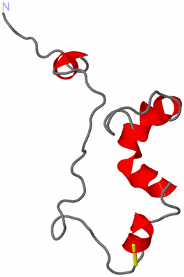 Image NMR Structure - model 1