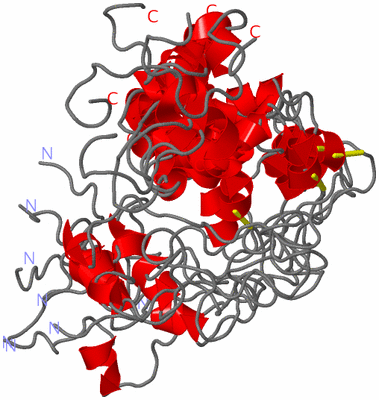 Image NMR Structure - all models