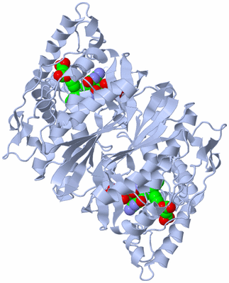 Image Biological Unit 1