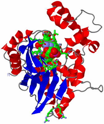 Image Asym. Unit - sites