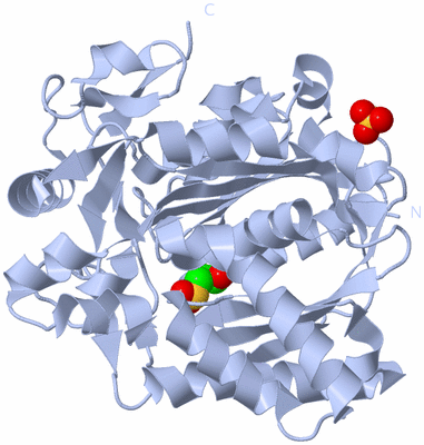 Image Biological Unit 2