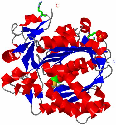 Image Asym. Unit - sites