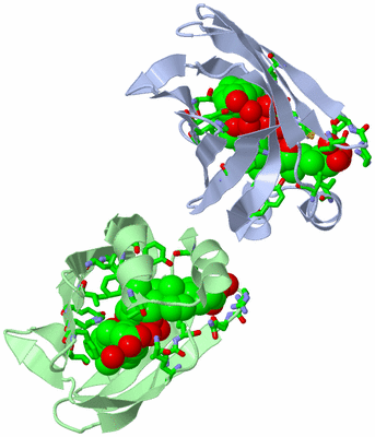 Image Asym. Unit - sites