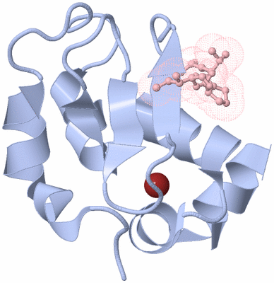 Image Biological Unit 1