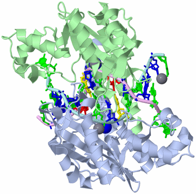 Image Biological Unit 1