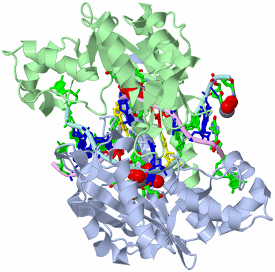 Image Biol. Unit 1 - sites