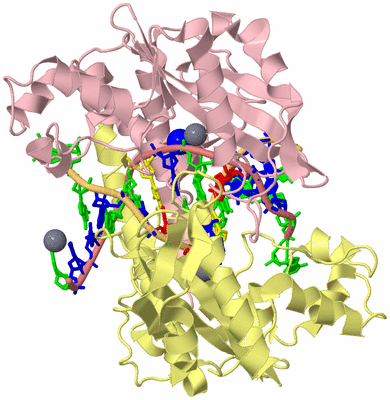 Image Biological Unit 2