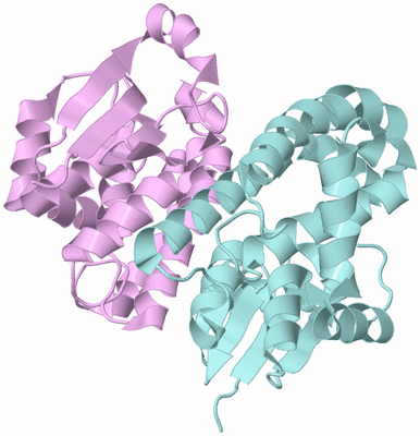 Image Biological Unit 3