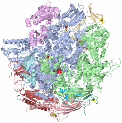 Image Asym./Biol. Unit