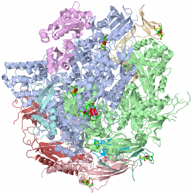 Image Asym./Biol. Unit - sites