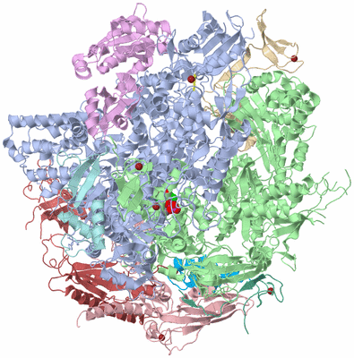 Image Asym./Biol. Unit