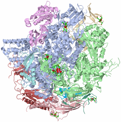 Image Asym./Biol. Unit - sites