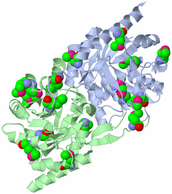 Image Asym./Biol. Unit