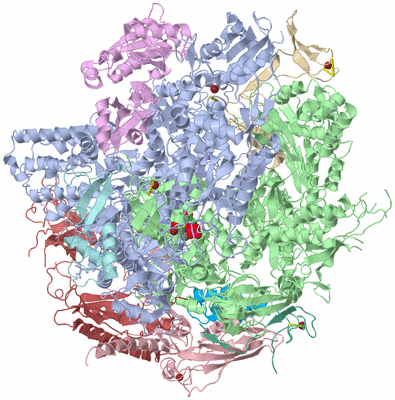 Image Biological Unit 1