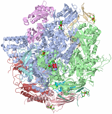 Image Biol. Unit 1 - sites