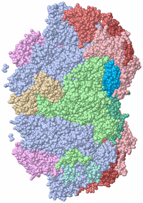 Image Biological Unit 3