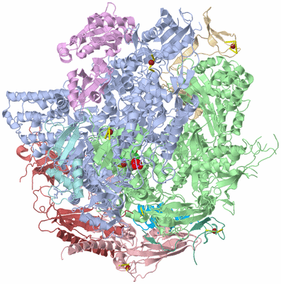 Image Asym./Biol. Unit