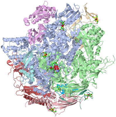 Image Asym./Biol. Unit - sites