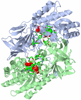 Image Biol. Unit 1 - sites