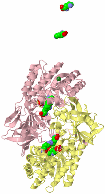 Image Biological Unit 2