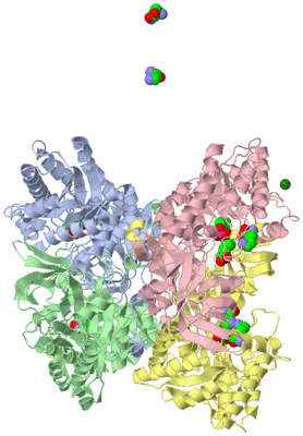 Image Biological Unit 3