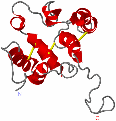 Image NMR Structure - model 1