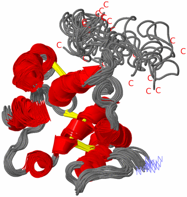 Image NMR Structure - all models