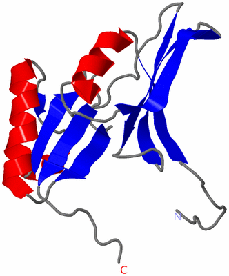 Image Asymmetric Unit