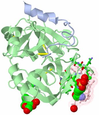 Image Asym./Biol. Unit - sites