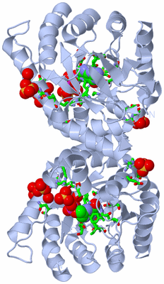 Image Biol. Unit 1 - sites