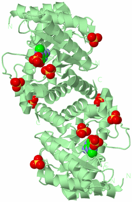 Image Biological Unit 4