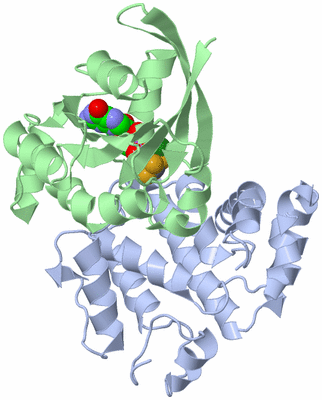 Image Asym./Biol. Unit